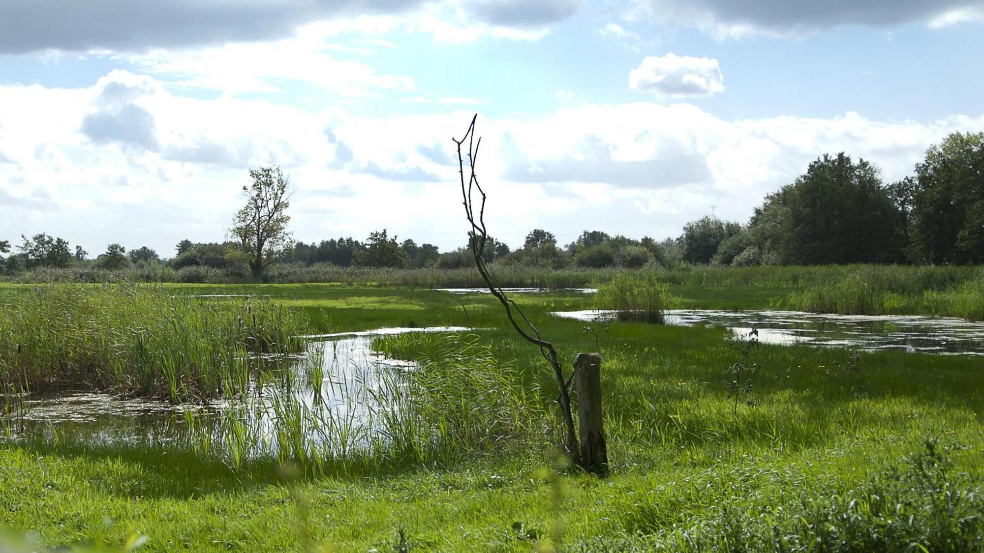 Safaritent at Camping GT Keiheuvel Balen Bagian luar foto